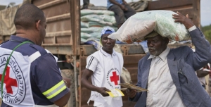 Em Moçambique, mais de 40 mil pessoas receberam sementes para ajudar na reconstrução das suas vidas